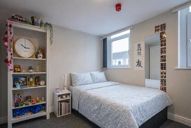 7 bed house, Treherbert Street, Cathays, Cardiff, CF244JN - Image 4